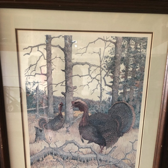 Picture with frame - Picture 4 of 4